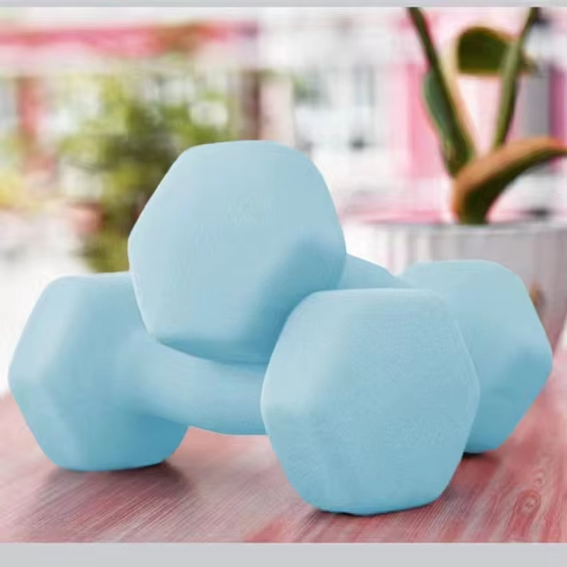 Wholesale 1Kg 2Kg Lbs Sports Dumbbells Women Colorful Hex Hand Weight Dumbbells Set Frosted Dip Small Dumbbells
